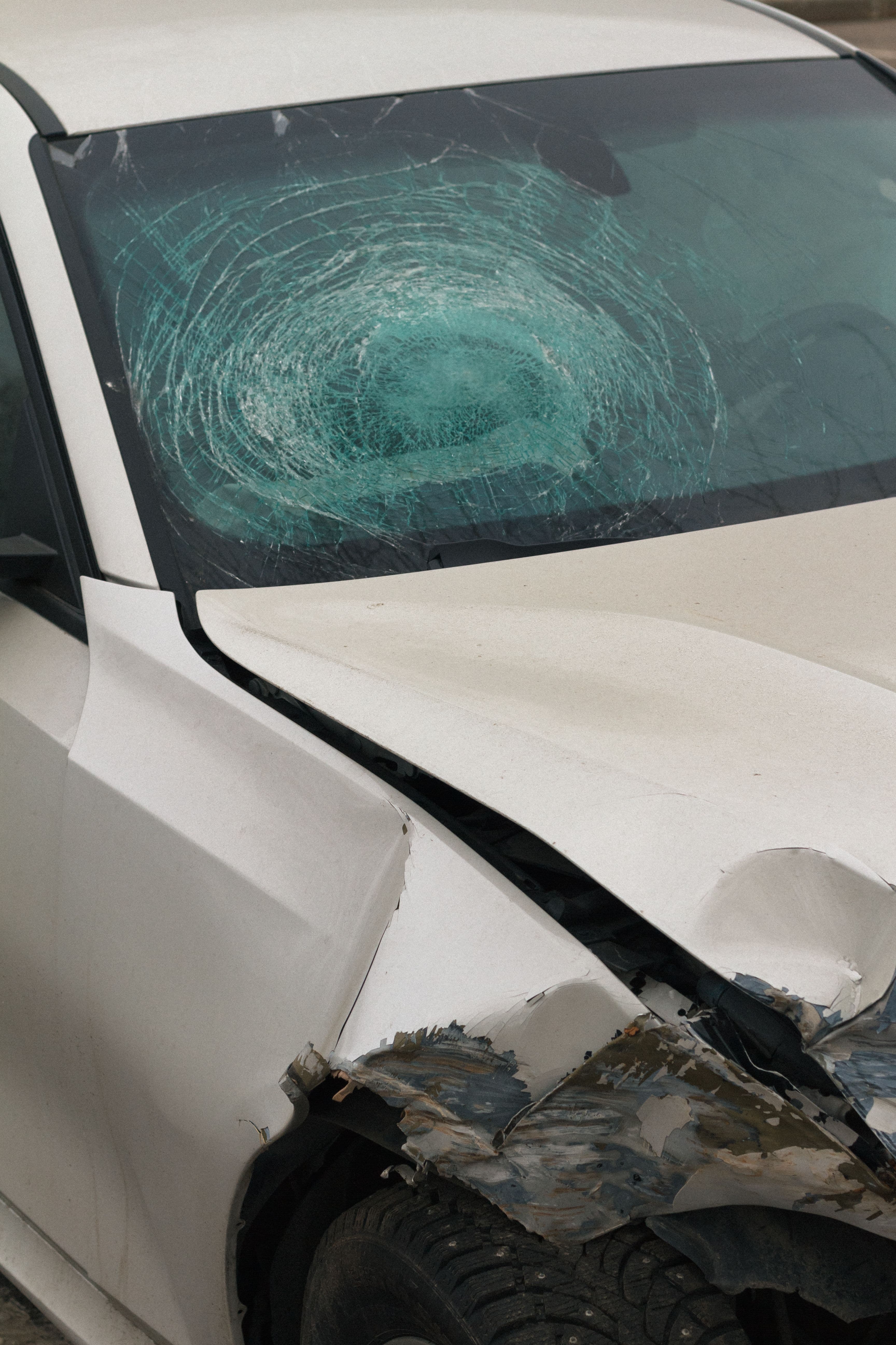 Windshield & Auto Glass Safety Assessment